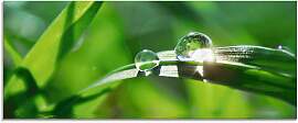 Glasbild ARTLAND "Grüner Hintergrund mit