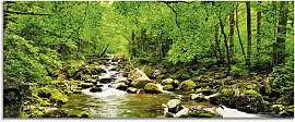 Glasbild ARTLAND "Herbstwald Fluss