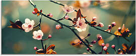 Glasbild ARTLAND "Japanische Kirsch Sakura