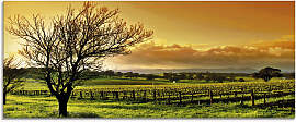 Glasbild ARTLAND "Landschaft mit