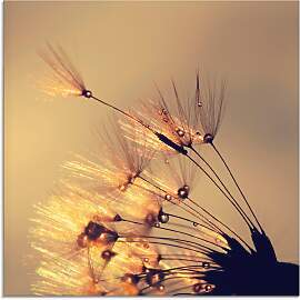 Glasbild ARTLAND "Pusteblume Goldene
