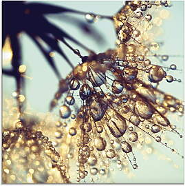 Glasbild ARTLAND "Pusteblume Goldener