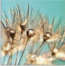 Glasbild ARTLAND "Pusteblume Goldener