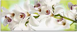 Glasbild ARTLAND "Weiße Orchidee",