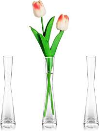 Glasseam Blumenvase Modern Glasvasen Schmal: 3er