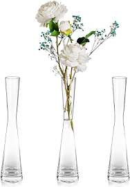 Glasseam Blumenvase Modern Glasvasen Schmal: 3er
