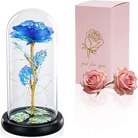 Glasseam Die Schöne Und Das Biest Rose In