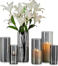 Glasseam Grau Glasvase Zylinder Vase Rund: 6er