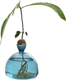 Glühbirne Avocado Vase Glas Eichel Vase Für