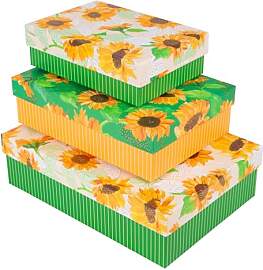 goldbuch 85 548 Kartonagen-Set 3-teilig Sunflower, 