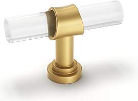 goldenwarm 10 Stück Möbelknopf Gold Griffe Gold