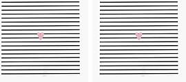 Grafik-Werkstatt Servietten mit Spruch 20 Stück