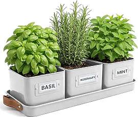 Green Thumbz 3 STK. Kräutertopf - Kräutertöpfe