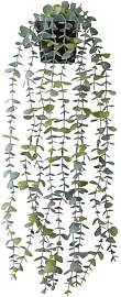Hängepflanze Künstlich Eukalyptus, 55cm