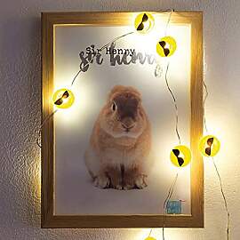 hellum LED Kupfer-Lichterkette, Cool-Emoji mit 2