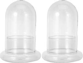 HEMOTON Glas Flaschengarten Terrarium Mit 8 Mm