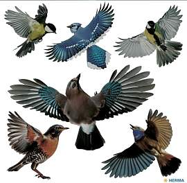 HERMA Warnvögel Vogel Aufkleber Set für