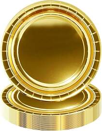 HiEnjoin 50 Stück Golden Pappteller,Gold