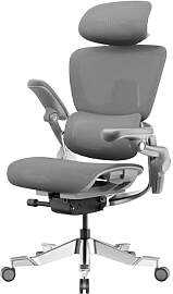 HINOMI H2 Pro Bürostuhl