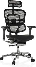 hjh OFFICE Bürostuhl ergonomisch ERGOHUMAN GEN 2