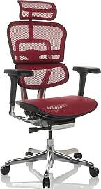 hjh OFFICE Bürostuhl ergonomisch ERGOHUMAN GEN2