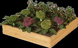 Hochbeet aus Holz mit Vlieseinlage und