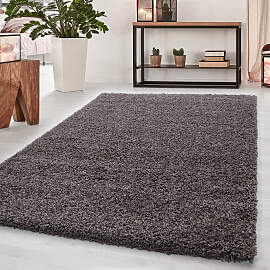 Hochflor-Teppich AYYILDIZ TEPPICHE "Dream