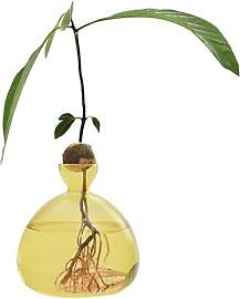 Hogvinnatil Avocado-Vase Aus Glas Transparente