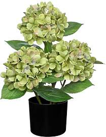 Hollyone Künstliche Hortensie im Topf, Grün