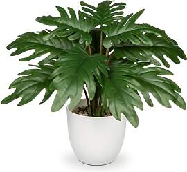 Hollyone Kunstpflanze Klein, 28 cm Philodendron