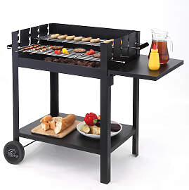 Holzkohlegrill TEPRO "Grillwagen