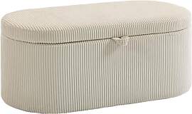 HOMCOM Sitzbank mit Stauraum Polsterbank 105 x 51
