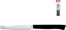 HOME Set 10 x6 farbigem Griff Steakmesser 11 cm