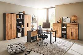 home24 Aktenschrank Renton mit Tür 45cm