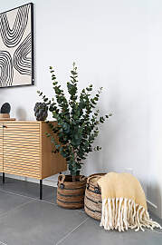 home24 Korb-Set Erba 2-teilig Braun
