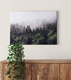 home24 Leinwandbild Nebliger Foggy Forest