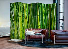 home24 Paravent Bamboo Forest Vlies / Buche Grün