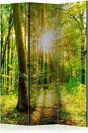 home24 Paravent Forest Rays 1-seitig Vlies auf