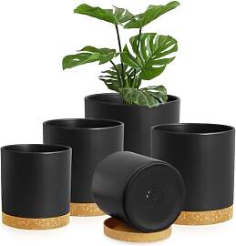 Homeuouz 5 Packs Blumentopf mit Untersetzer,