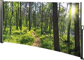 HTI-Living Seitenmarkise mit Fotodruck Wald