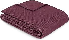 Ibena Charlotte Bio Strickdecke 140x200 cm - 100%