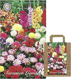 IFLO® Dahlien Knollen Blumenzwiebeln Mix –