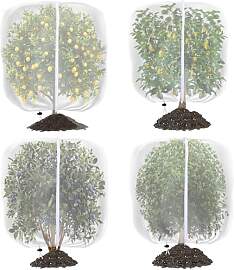 Insektenschutzbeutel für Gartenpflanzen, 120 x