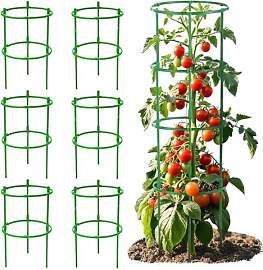 JanFebMar 12 Sätze Tomaten Rankhilfe Set,