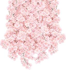 JqruiTbeis Kirschblüten Deko, Blumengirlande mit