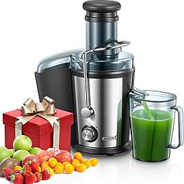 Juilist Entsafter Gemüse und Obst 800W, Edelstahl 
