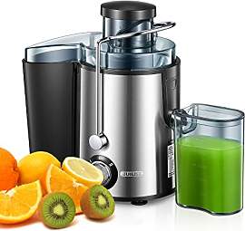 Juilist Entsafter Gemüse und Obst 800W Max, 304