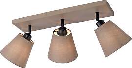 JUST LIGHT Deckenleuchte "RIALA", grau