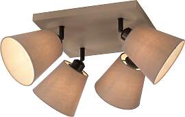 JUST LIGHT Deckenleuchte "RIALA", grau