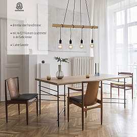 JUST LIGHT Pendelleuchte "TERO",